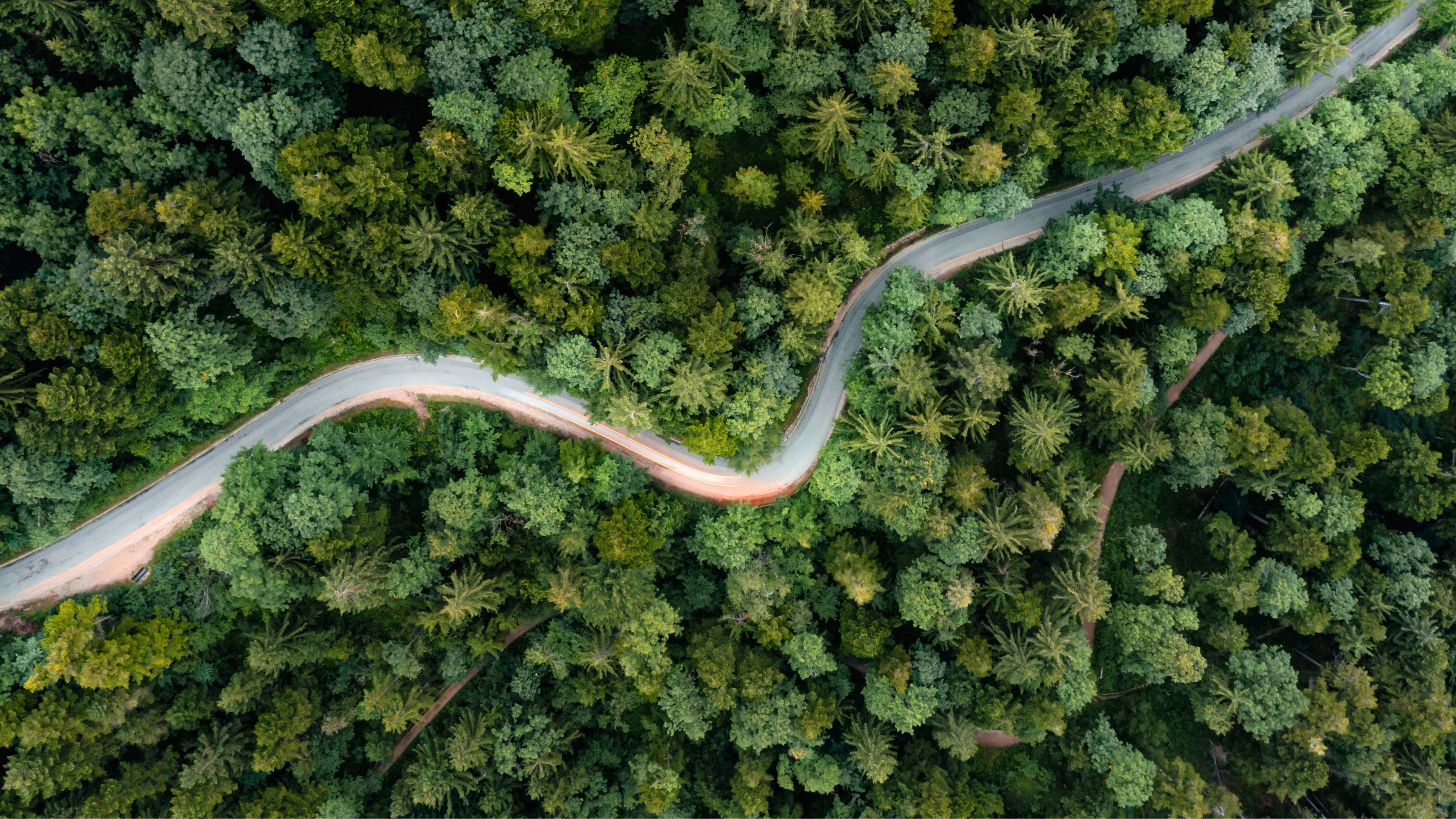 Unlocking Stability and Yield in Middle Market CRE Debt